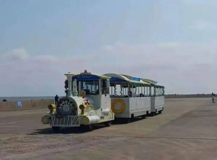 江苏一景区观光车遭遇强风冲击侧翻落水，致4人遇难，相关责任人已被控制插图