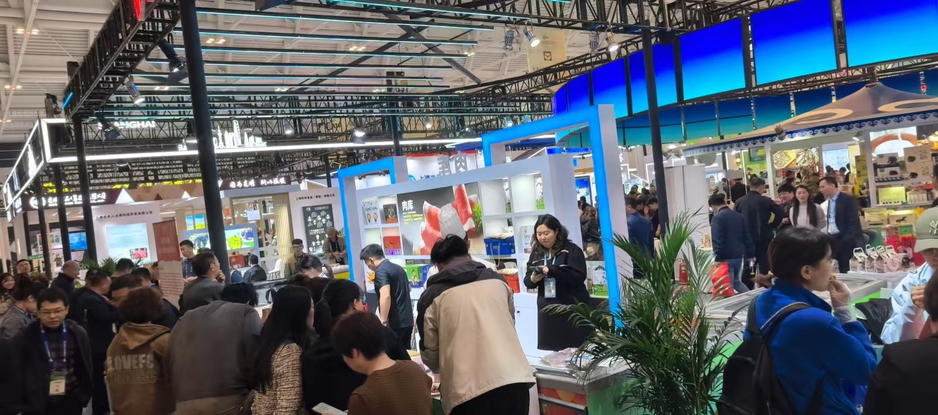 香飘“津”秋 “达茂草原羊”亮相第 22 届农交会插图4