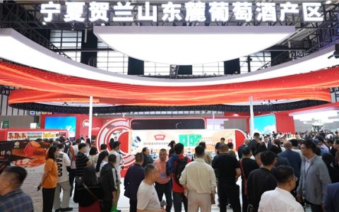 第 113 届南京糖酒会圆满收官 宁夏宝麓酒庄凭科技体验与渠道赋能全程闪耀，为贺兰山葡萄酒深耕华东高端市场破局