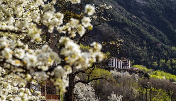 2025嘉绒风情季美人谷选美大赛即将启幕，以“美”为媒展示丹巴文化新叙事插图4