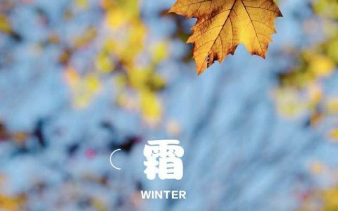 赏红叶、备秋裤：墨迹天气解锁霜降节气健康出行指南