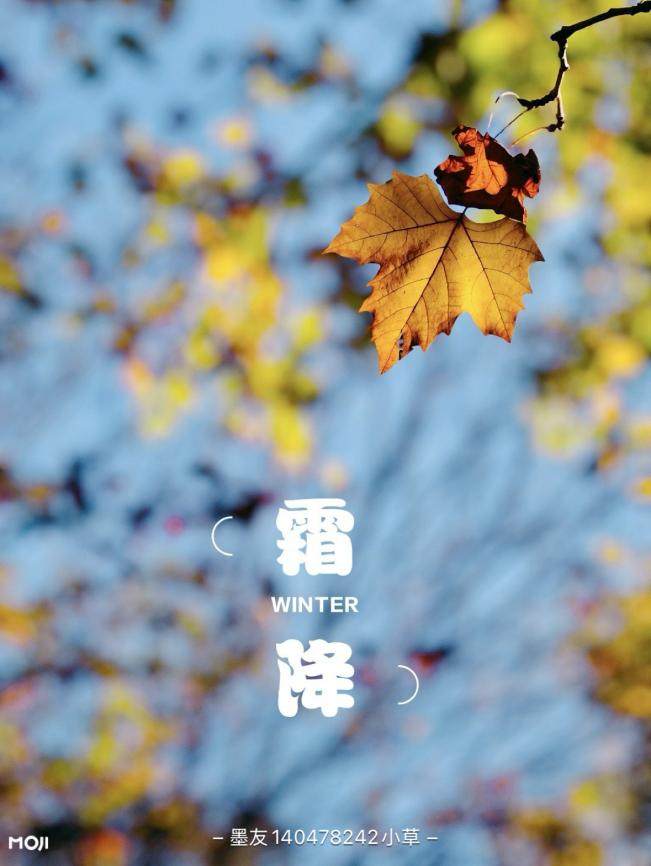 赏红叶、备秋裤：墨迹天气解锁霜降节气健康出行指南插图