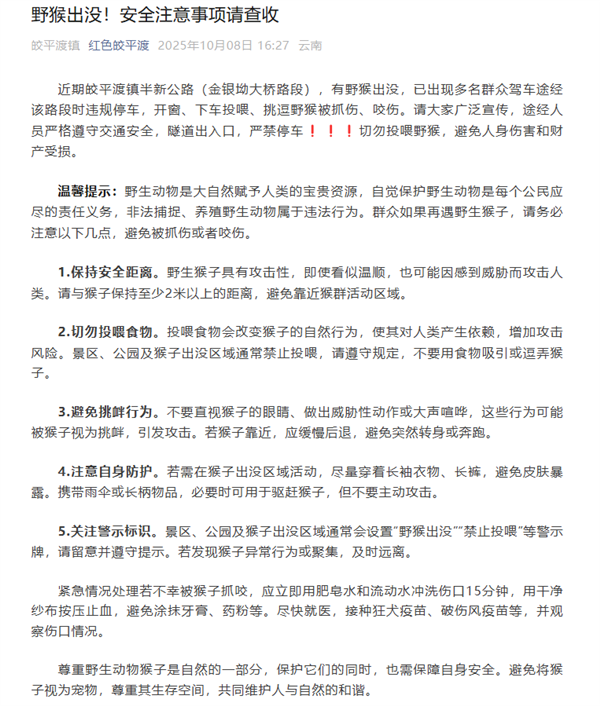 男子路边停车休息遭野猴入车袭击：被动物抓伤需做好“三防”插图4