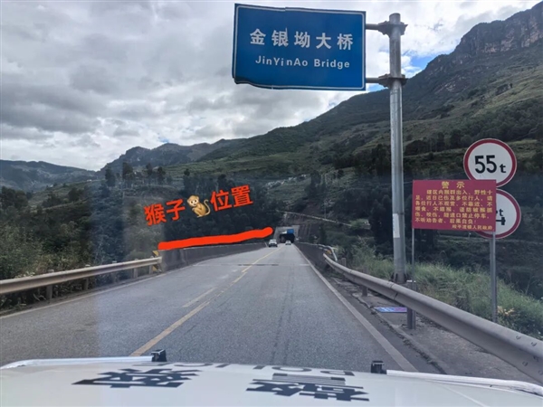 男子路边停车休息遭野猴入车袭击：被动物抓伤需做好“三防”插图2