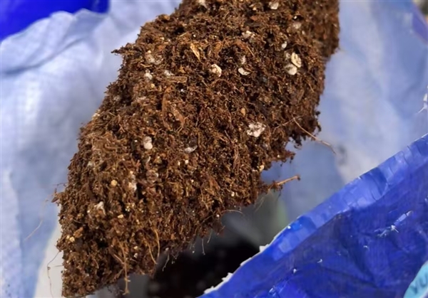 阳台种菜9种重金属超标 网销百万的“营养土”竟是建筑垃圾插图