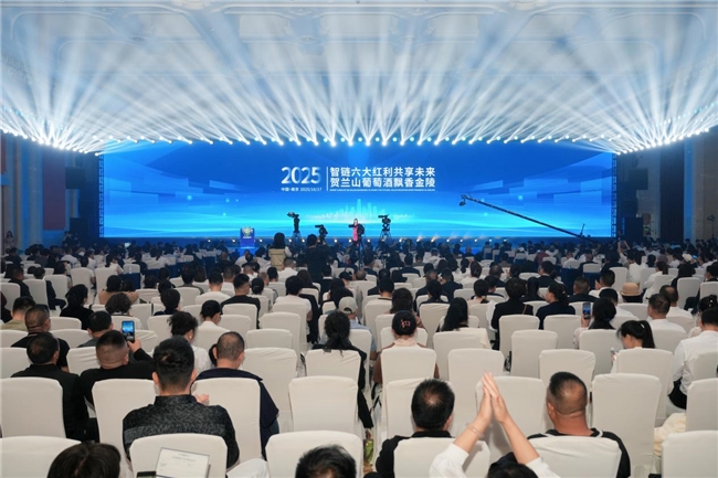 第 113 届南京糖酒会圆满收官 宁夏宝麓酒庄凭科技体验与渠道赋能全程闪耀，为贺兰山葡萄酒深耕华东高端市场破局插图12