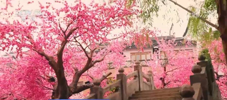 活力旺、人气高、供应足 文旅消费热度攀升 “假日经济”活力满满插图6