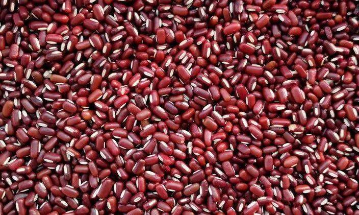 吃错碳水真的会变丑！还有这些“隐形伤害”……插图12