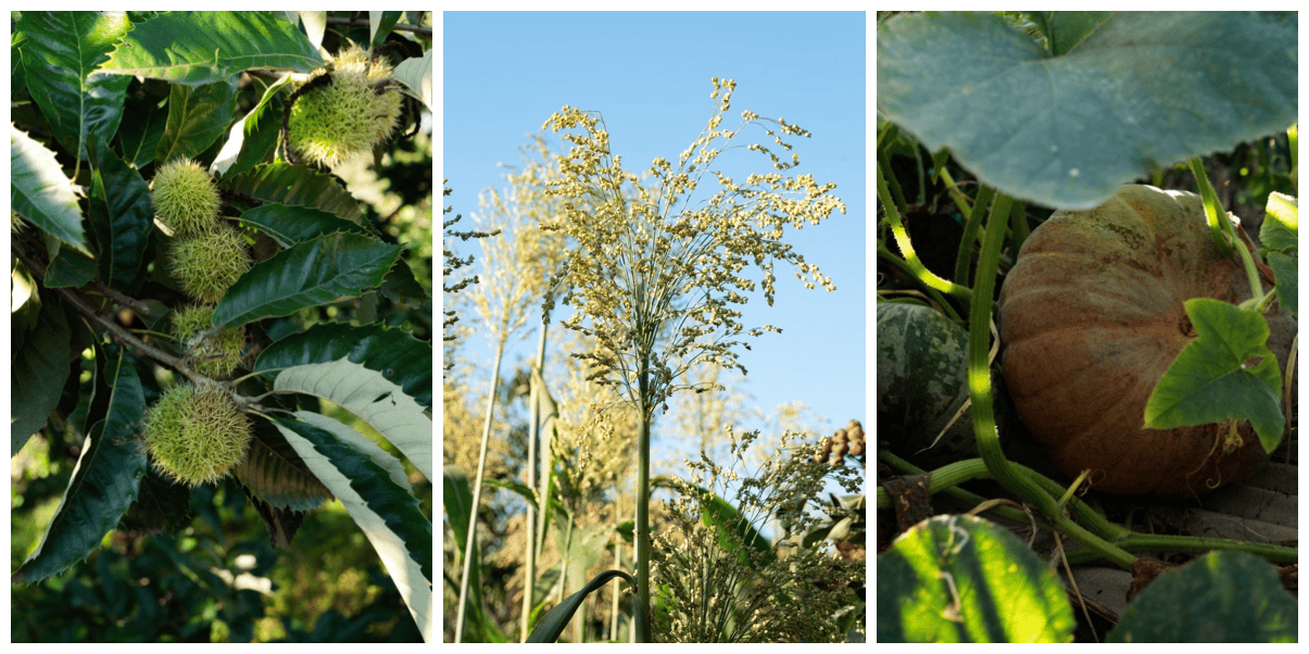 北京人的第二居所新典范：北京山谷构筑自然康养生活圈插图4