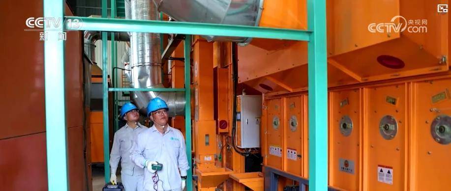 秋粮收获关键期：供电专项服务助力筑牢粮食产后安全线插图2