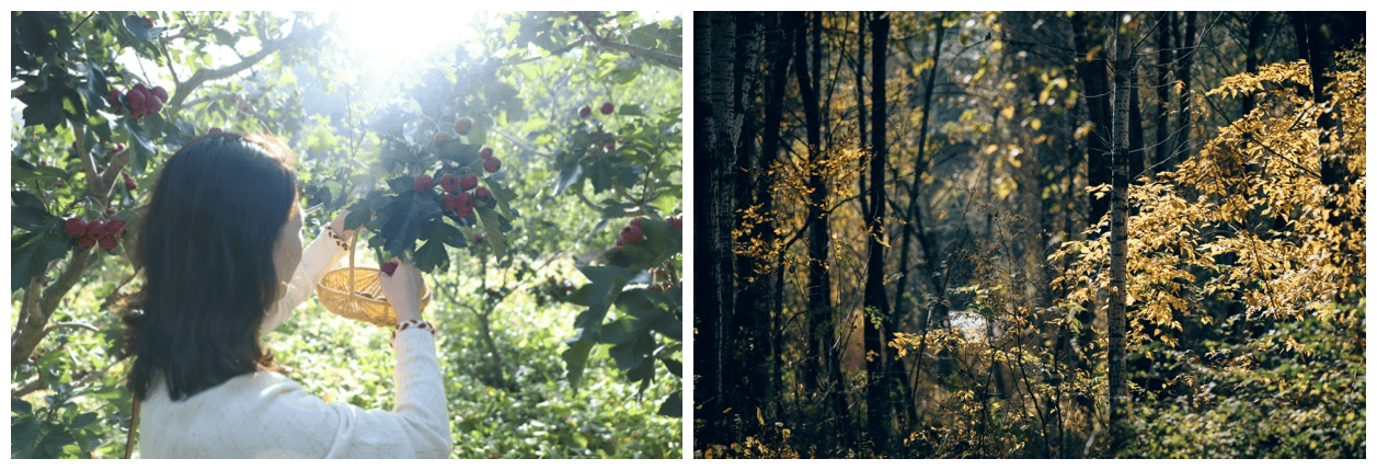 北京山谷：构筑全龄共享社区，谱写京郊生活新范式插图10