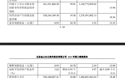 自研WPS格式被商务部采用 金山办公发布亮眼财报：净利润大增35%