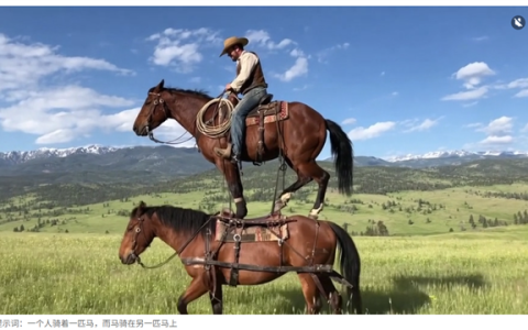 OpenAI将推“AI版抖音”：禁止上传实拍内容 视频100%由AI生成