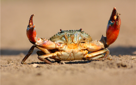 两个菜被收661元：顾客称获退款400元