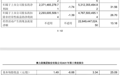 毛利率国产车第一！赛力斯发布三季度财报：净赚23亿元