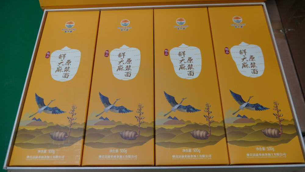 药食同源焕新颜！昭通天麻突破产业瓶颈，书写千亿级健康产业新传奇插图6