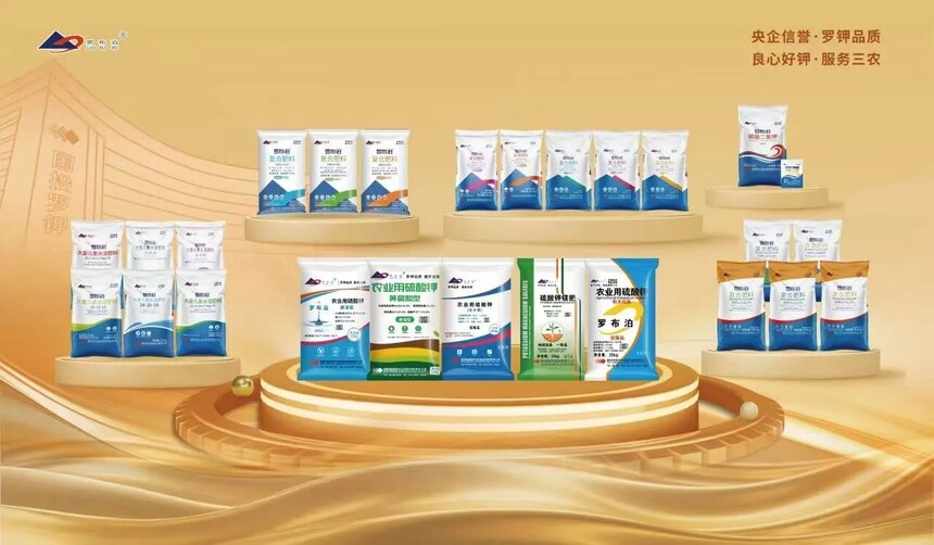 创新发展 绿色未来 | 国投罗钾亮相2025年中国磷复肥工业展览会！插图20