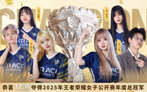 从赛事到城能量 王者荣耀女子公开赛打造“电竞+”新范本