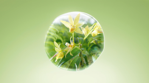 植物医生IPO问询背后：高山植物护肤龙头的品牌、规模与研发三重护城河插图