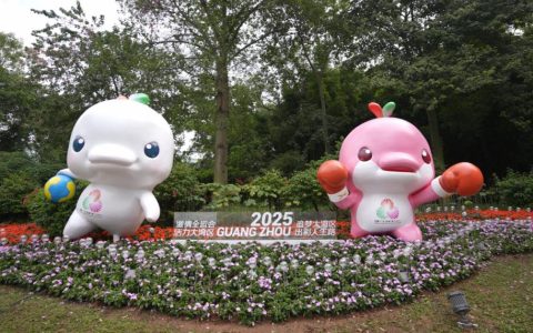 擎动湾区，共襄盛举！超200台苏州金龙海格客车护航第十五届全运会