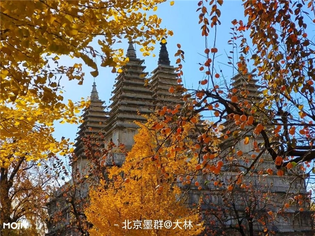 降温成血糖“隐形推手”，墨迹天气为糖友提供气象参考插图