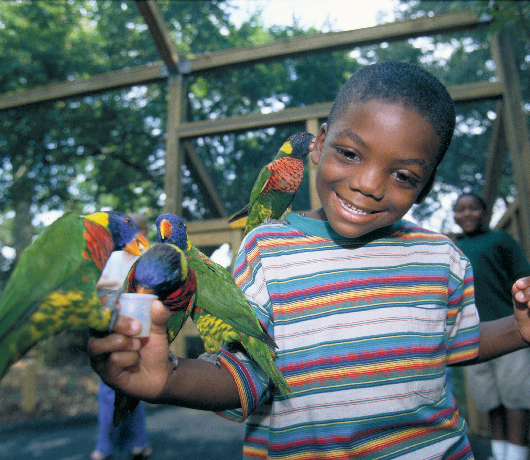 费城亲子游天花板，拉满全家快乐值插图2
