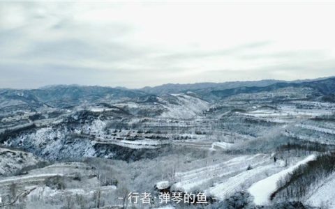 降温与流感双重预警，墨迹天气 “流感指数” 精准守护，筑牢健康防护墙