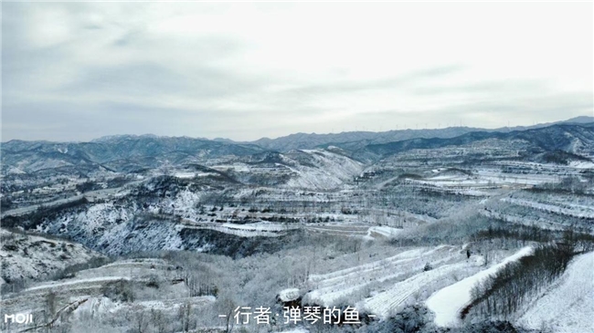 降温与流感双重预警，墨迹天气 “流感指数” 精准守护，筑牢健康防护墙插图