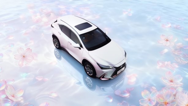 时光知味 探索无界  LEXUS雷克萨斯携多款重磅车型亮相2025广州国际车展插图6