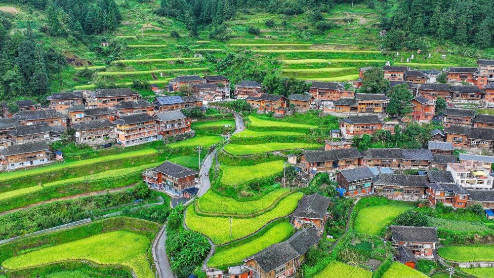 中国三星CSR新三年战略收官 扎实履行社会责任插图1