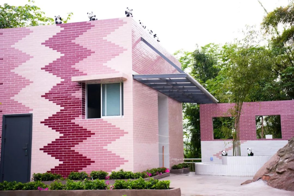 中国三星CSR新三年战略收官 扎实履行社会责任插图5