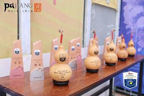 2025年上海市无人机足球大师赛10月月赛在葫芦基地圆满举办插图8