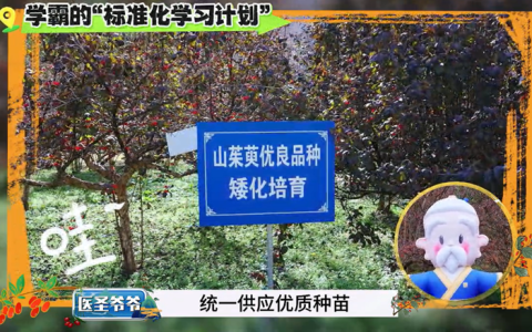 仲景宛西制药“药材好药才好”的品质承诺，不止伏牛好山水