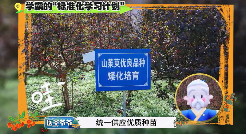 仲景宛西制药“药材好药才好”的品质承诺，不止伏牛好山水插图