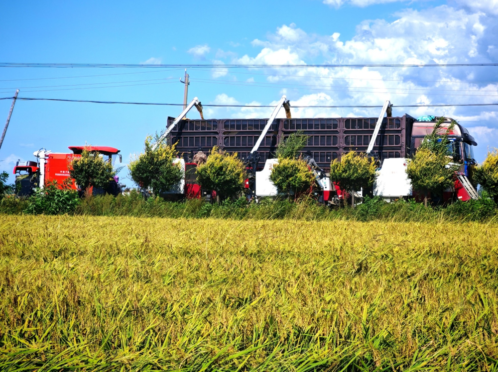 中国三星助力乡村振兴有“质”更有“智”插图2