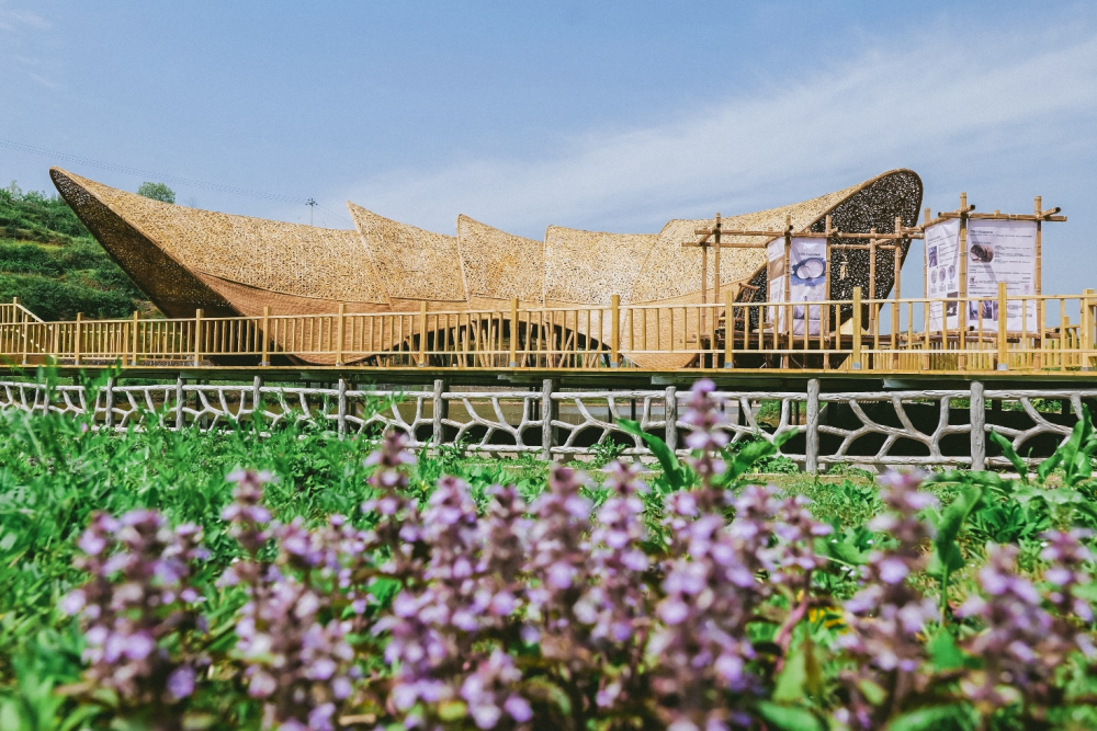 中国三星助力乡村振兴有“质”更有“智”插图5