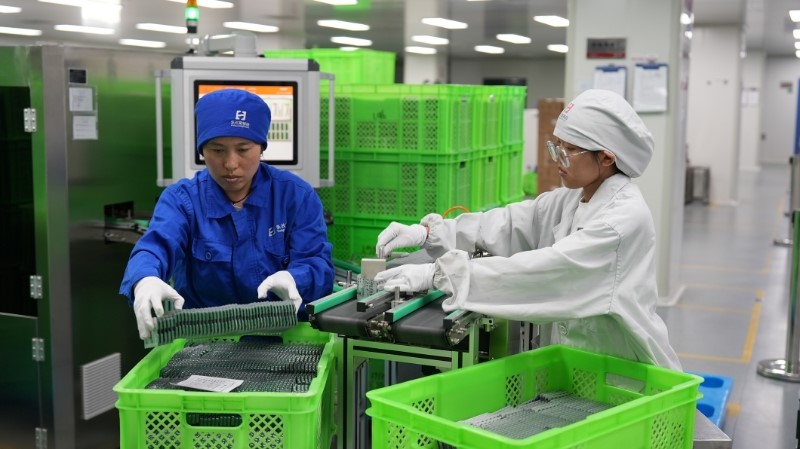 药食同源焕新颜！昭通天麻突破产业瓶颈，书写千亿级健康产业新传奇插图14