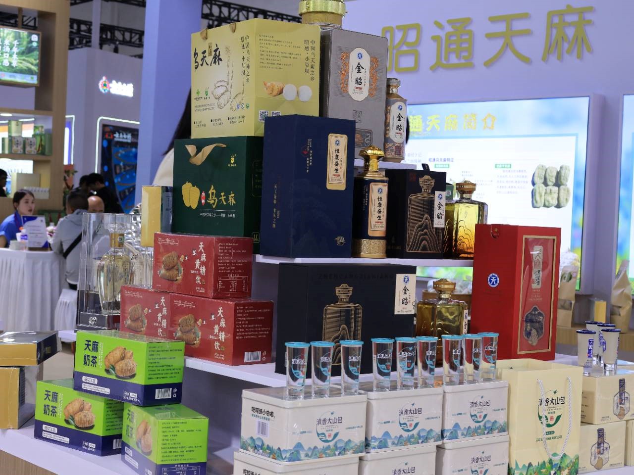 药食同源焕新颜！昭通天麻突破产业瓶颈，书写千亿级健康产业新传奇插图4