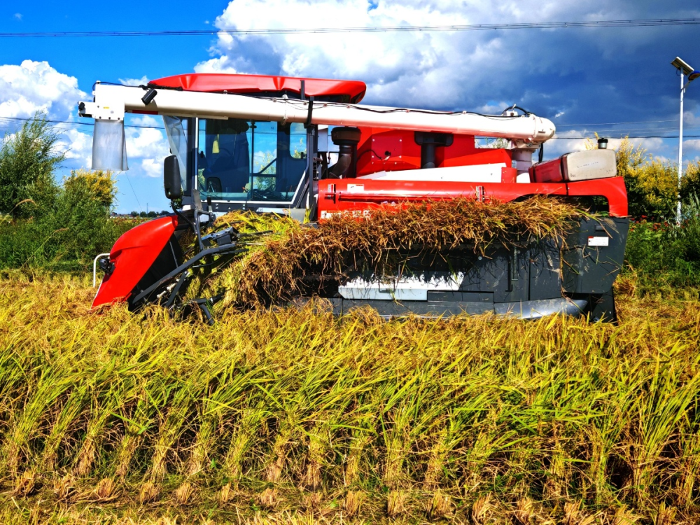 中国三星CSR新三年战略收官 扎实履行社会责任插图3