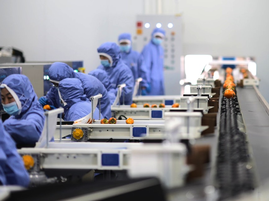 中国三星助力乡村振兴有“质”更有“智”插图1