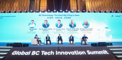 BC引领光伏价值新时代，全球BC技术创新峰会成功举办插图8
