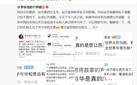 李楠：华与华就是忽悠老年土老板的公司