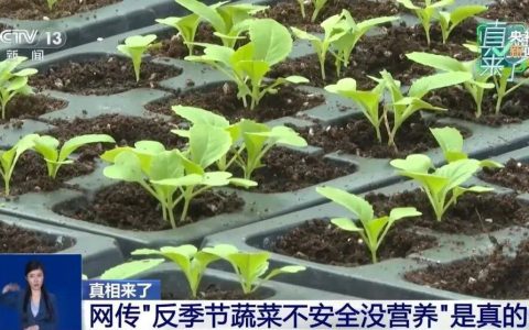 “反季节蔬菜没营养还不安全”，是真的吗？