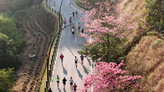 北回归线上逐山野 岭南文脉伴征程 2025中国山马越野系列赛（广州从化站）暨“香港赛马会”广州从化山马越野赛成功年度收官插图22