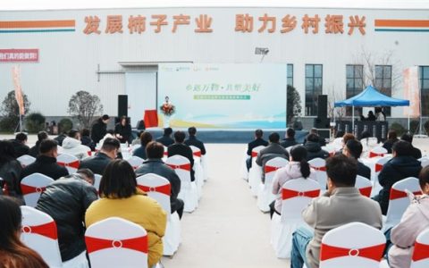 华润万家携手天玺农业共筑富平柿子产业高质量发展新里程碑