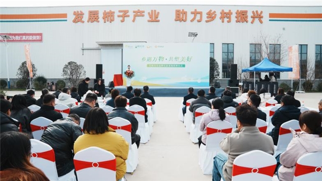 华润万家携手天玺农业共筑富平柿子产业高质量发展新里程碑插图