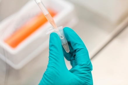 商标品牌保护与创新同行，诺和新元推动生物科技高质量发展插图2