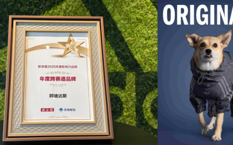 绿色深耕+本土共鸣，阿迪达斯2025斩获十大权威奖项