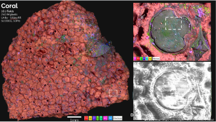 技术驱动产业：牛津仪器BEX技术荣获英国物理学会（IOP）商业创新奖插图2