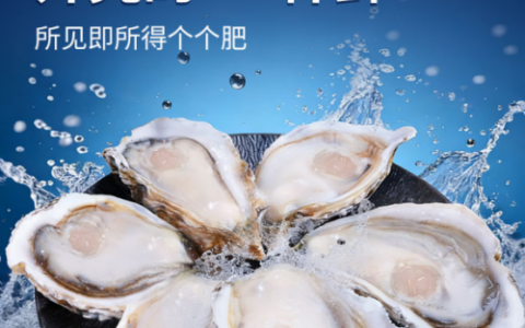 京东首发！源头直发！高品质贝司令冰鲜半壳生蚝重磅上线